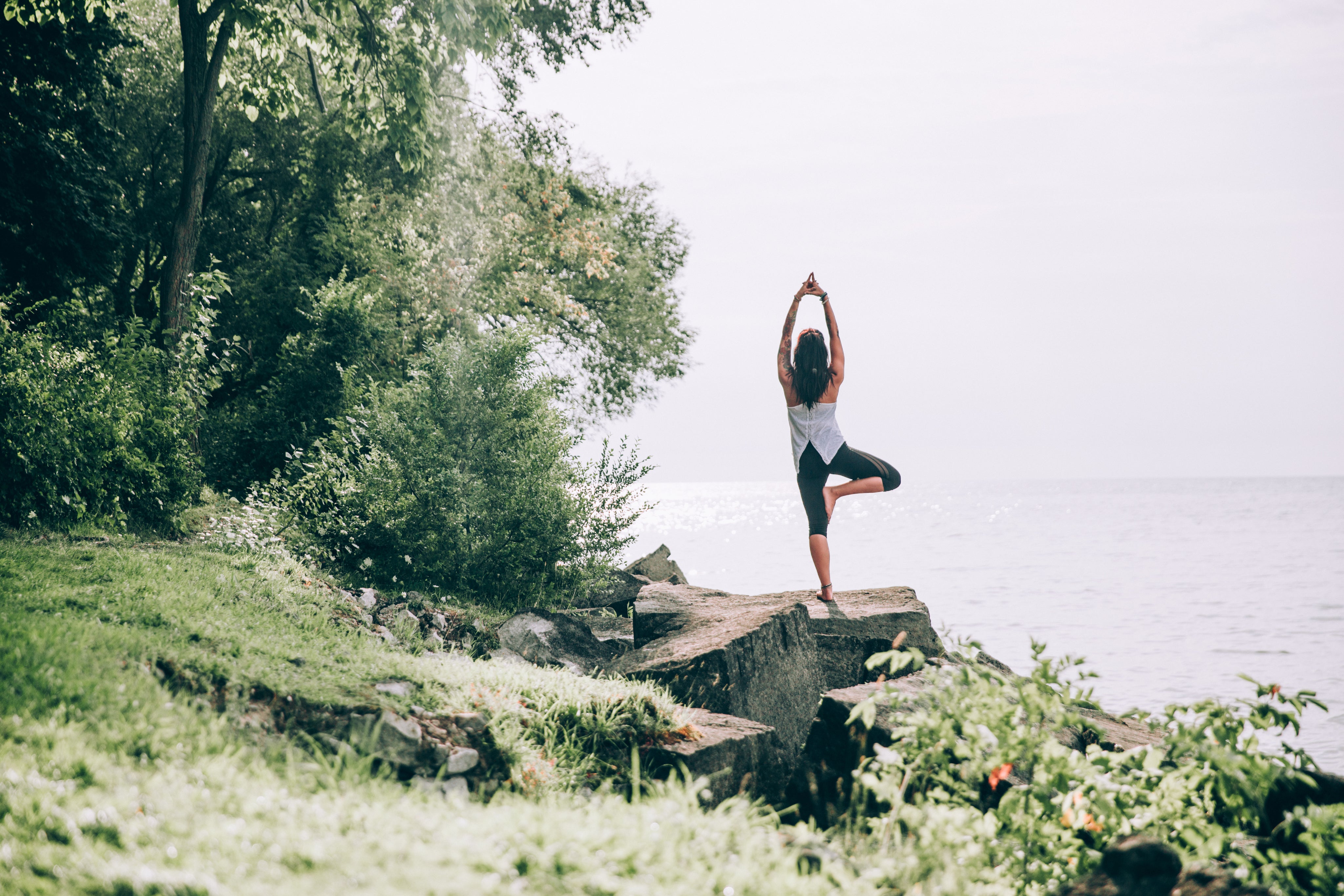 tree-pose-yoga-in-nature.jpg